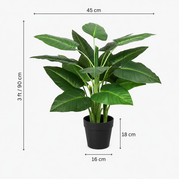 Calla Lily Tree in Black Pot 90cm/3ft - A1129