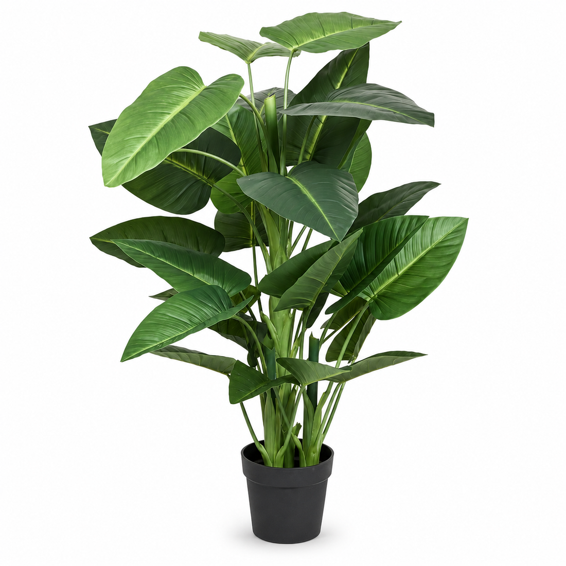 Large Calla Lily Tree in Black Pot 130cm/4ft - A1130