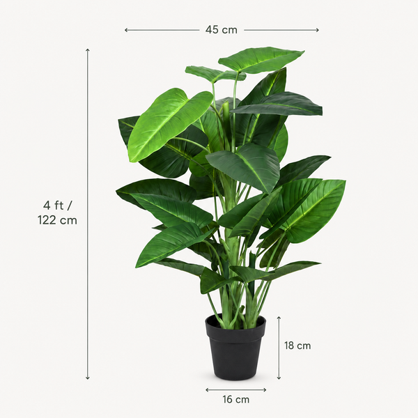 Large Calla Lily Tree in Black Pot 130cm/4ft - A1130