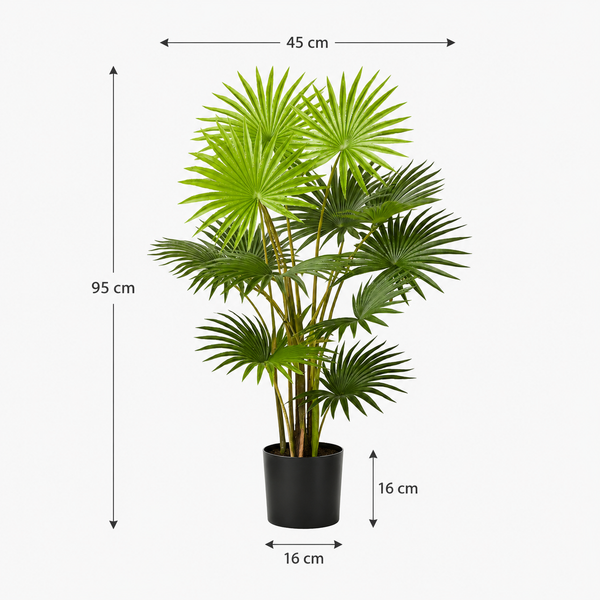Fan Finger Palm Tree in Pot 95cm/3ft - A1133