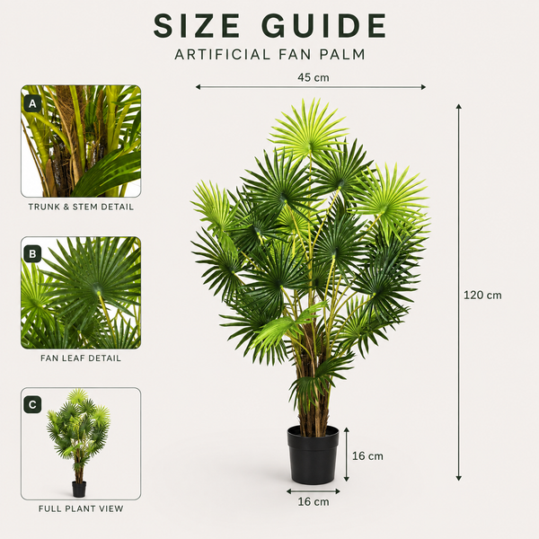 Large Fan Finger Palm Tree in Pot 120cm/4ft - A1134