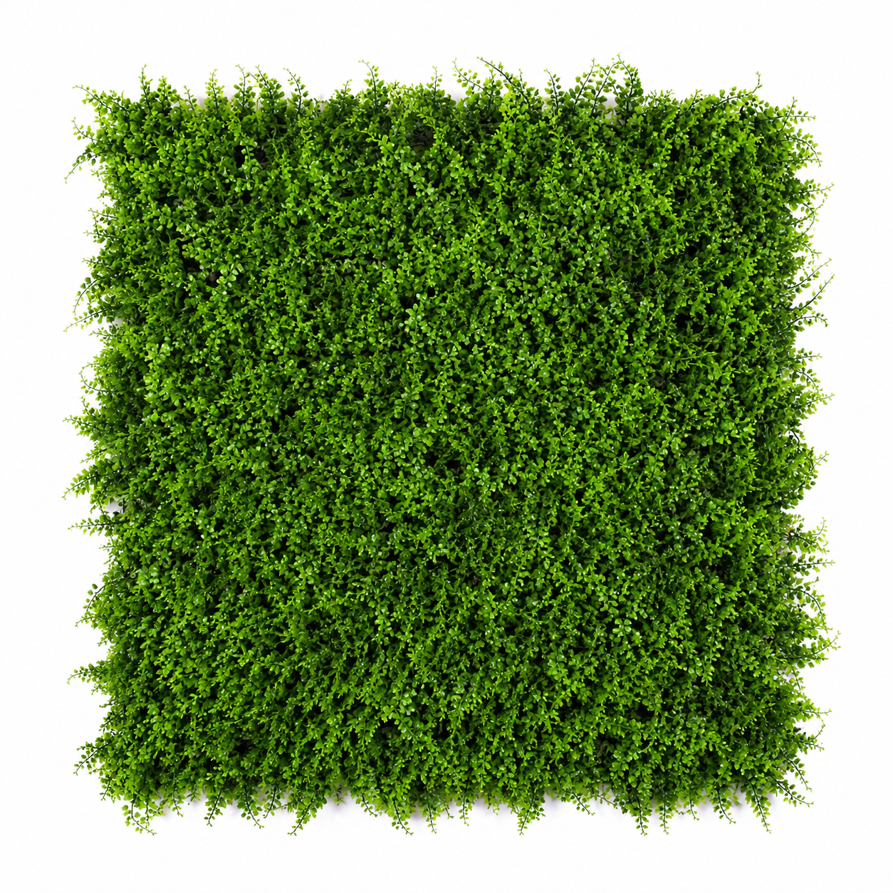 Green Wall Hedge with Small Leaf Foliage (Pack of 4) 50cm x 50cm - A1135