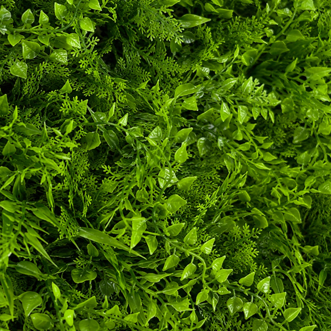 Green Wall Hedge with Small Leaf Foliage (Pack of 4) 50cm x 50cm - A1135