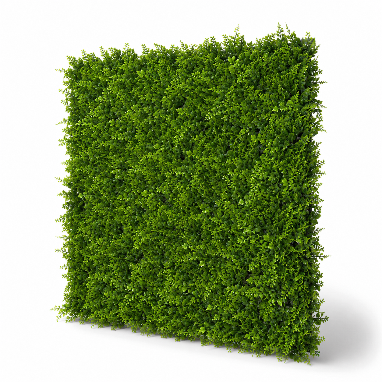 Green Wall Hedge with Small Leaf Foliage (Pack of 4) 50cm x 50cm - A1135