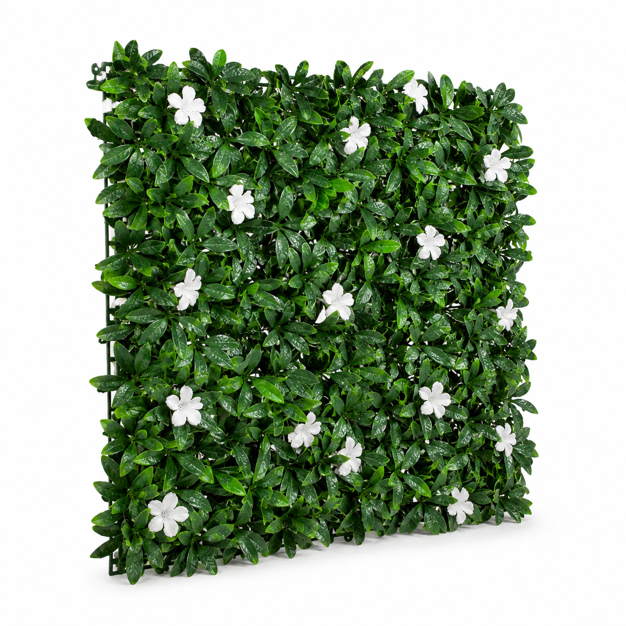 Green Wall Hedge with Dark Leaf Foliage and White Flowers (Pack of 4) 50cm x 50cm - A1136