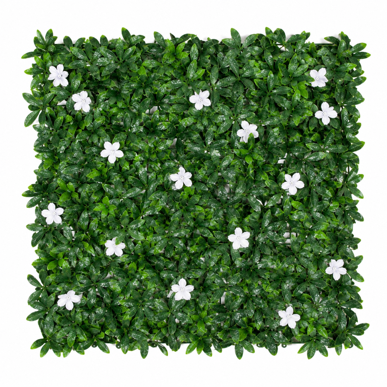 Green Wall Hedge with Dark Leaf Foliage and White Flowers (Pack of 4) 50cm x 50cm - A1136