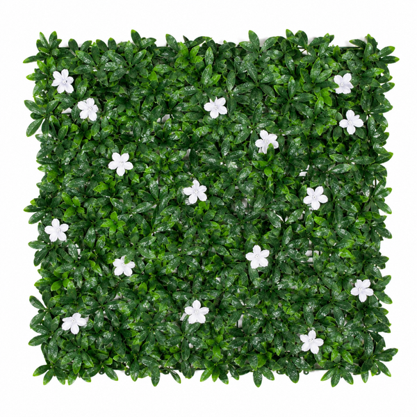 Green Wall Hedge with Dark Leaf Foliage and White Flowers (Pack of 4) 50cm x 50cm - A1136