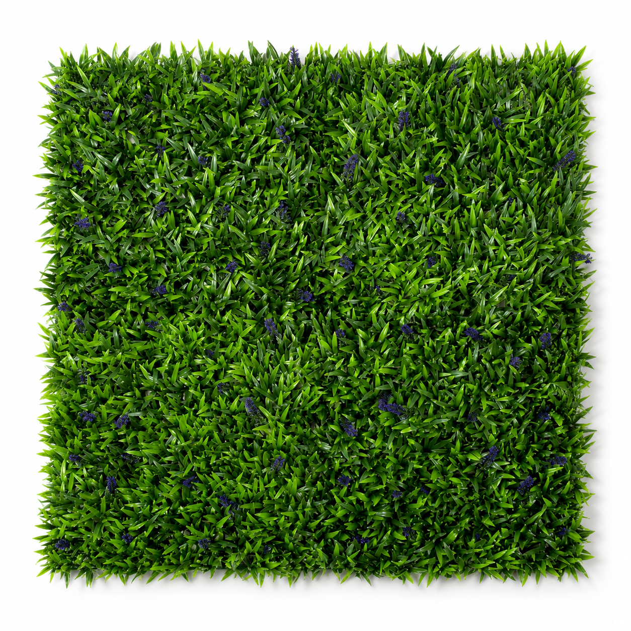 Green Wall Hedge with Green Leaf Foliage and Purple Flowers (Pack of 4) 50cm x 50cm - A1137