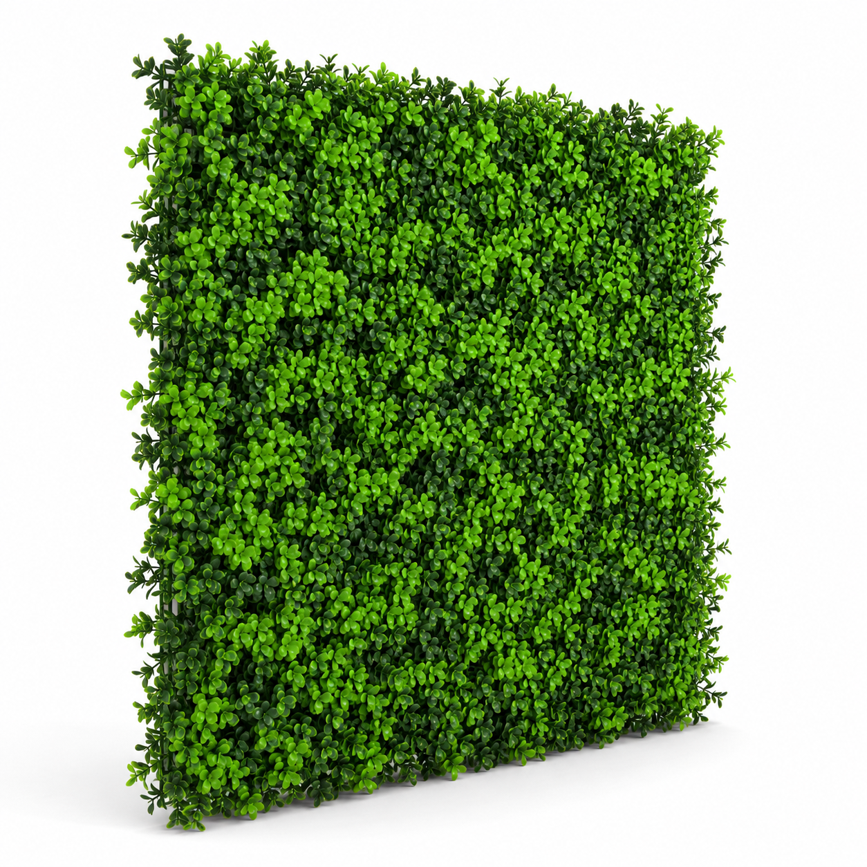 Green Wall Hedge with Small Light Leaf Foliage (Pack of 4) 50cm x 50cm - A1138
