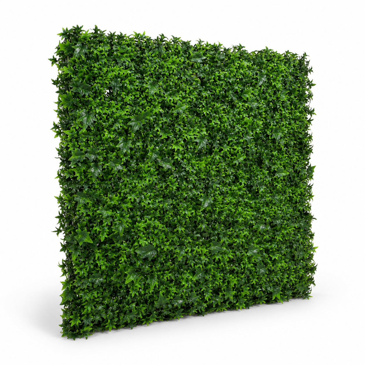 Green Wall Hedge with Dark Ivy Leaf Foliage (Pack of 4) 50cm x 50cm - A1139