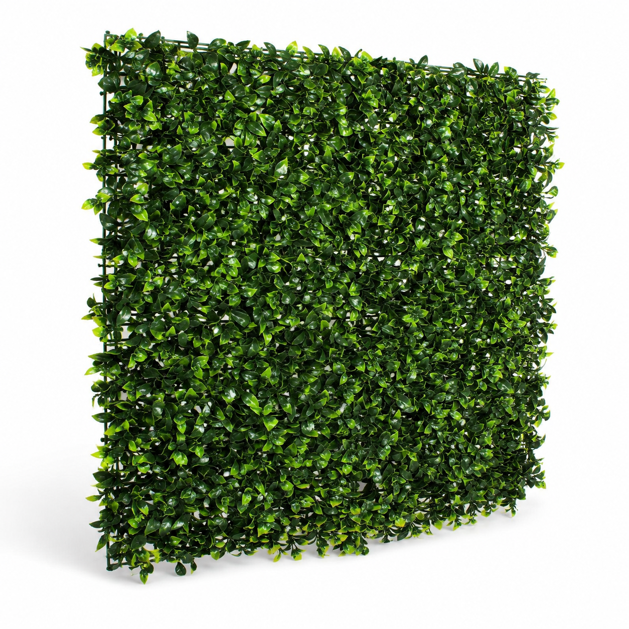 Green Wall Hedge with Light and Dark Leaf Foliage (Pack of 4) 50cm x 50cm - A1140