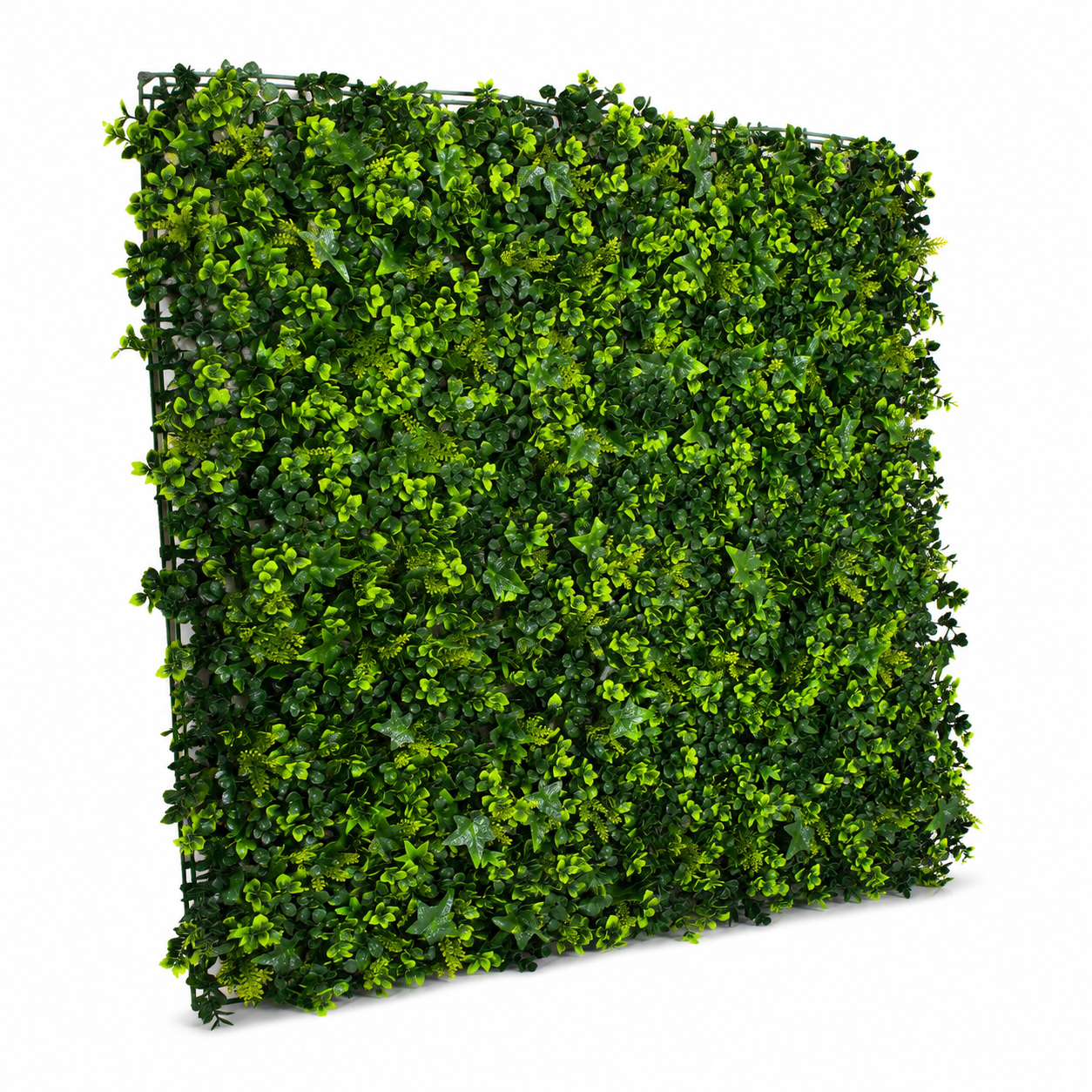 Green Wall Hedge with Mixed Leaf & Ivy Type Foliage (Pack of 4) 50cm x 50cm - A1141