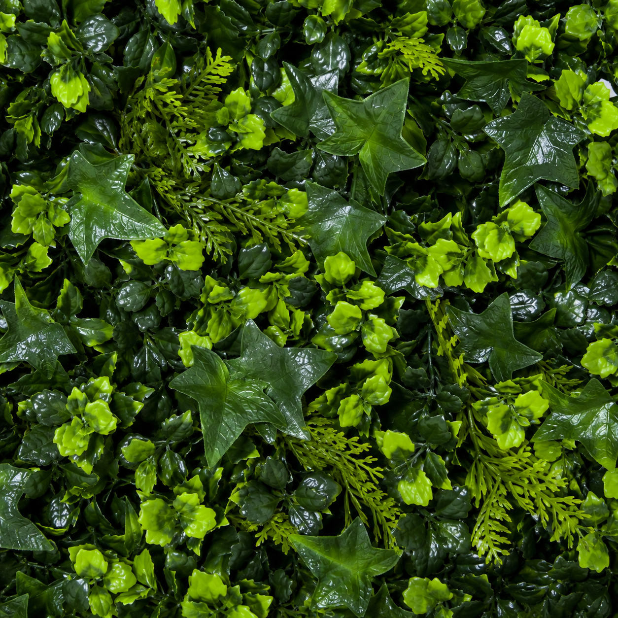 Green Wall Hedge with Mixed Leaf & Ivy Type Foliage (Pack of 4) 50cm x 50cm - A1141
