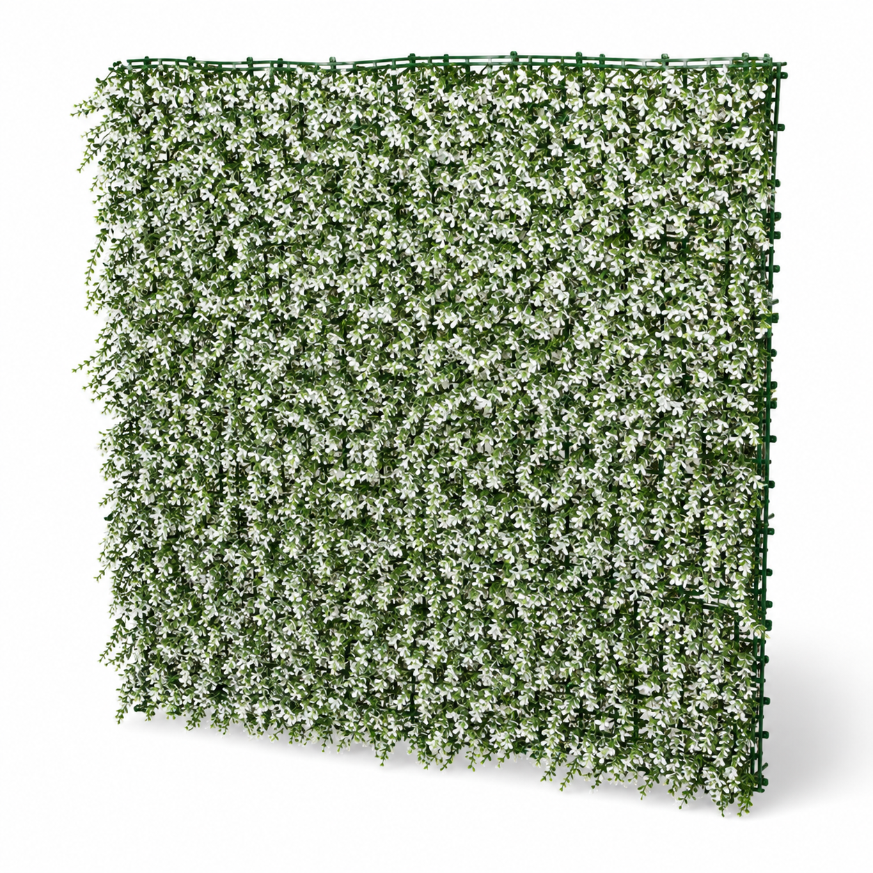 Green Wall Hedge with Small White Leaf Foliage (Pack of 4) 50cm x 50cm - A1142