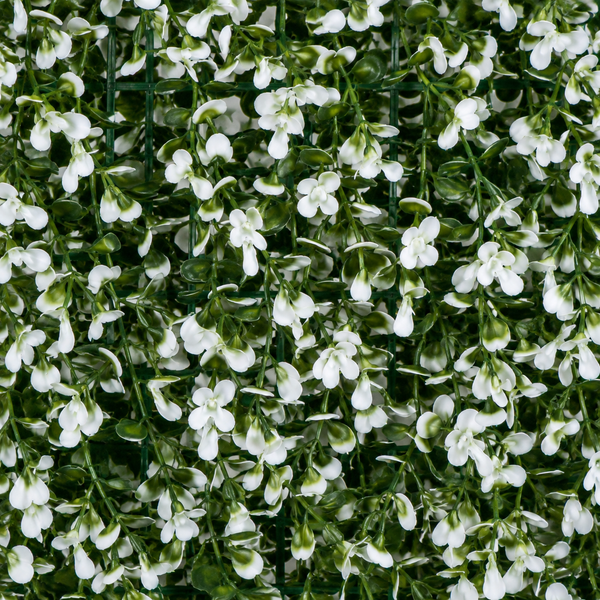 Green Wall Hedge with Small White Leaf Foliage (Pack of 4) 50cm x 50cm - A1142