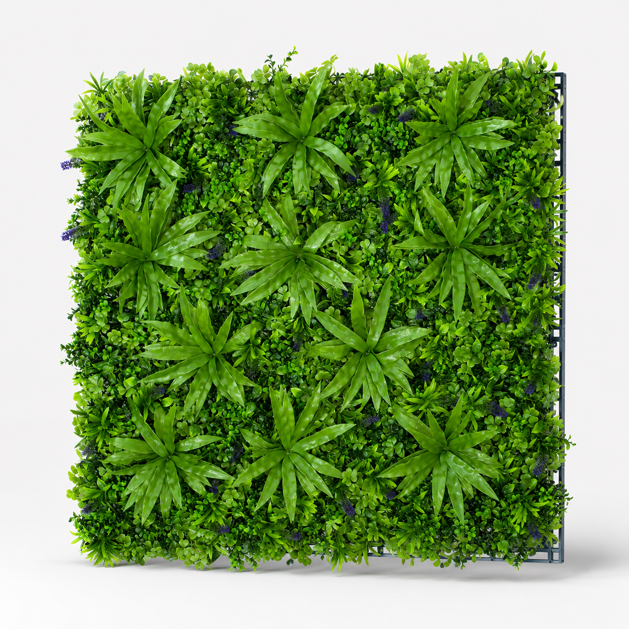 Premium Green Wall Hedge with Clover Leaf Foliage and Purple Flowers (1m x 1m) - A1144