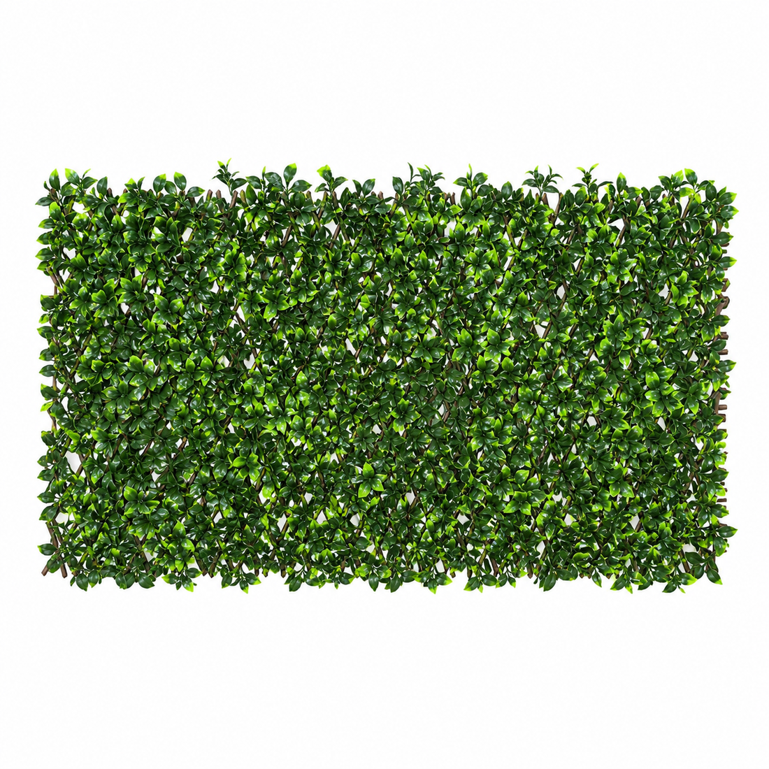 Expanding Green Wall Willow Trellis Fence with Variegated Green Leaf Foliage (1m x 2m) - A1148