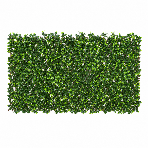 Expanding Green Wall Willow Trellis Fence with Variegated Green Leaf Foliage (1m x 2m) - A1148