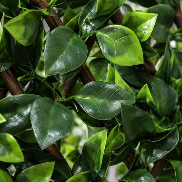 Expanding Green Wall Willow Trellis Fence with Variegated Green Leaf Foliage (1m x 2m) - A1148