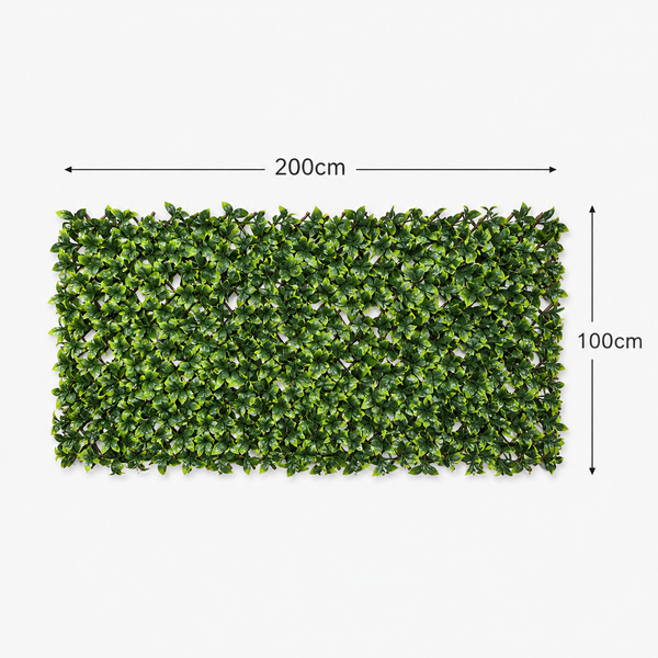 Expanding Green Wall Willow Trellis Fence with Variegated Green Leaf Foliage (1m x 2m) - A1148