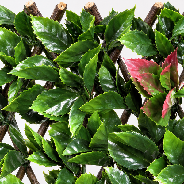Expanding Green Wall Willow Trellis Fence with Red and Green Leaf Foliage (1m x 2m) - A1151