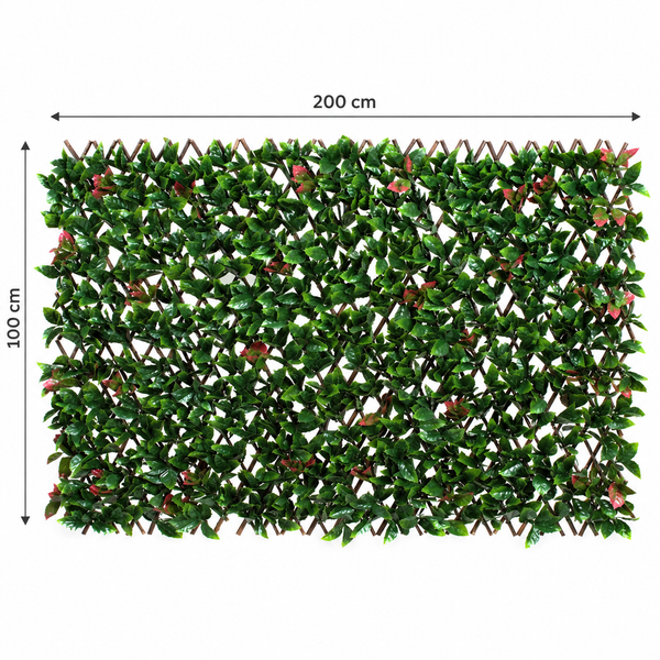 Expanding Green Wall Willow Trellis Fence with Red and Green Leaf Foliage (1m x 2m) - A1151