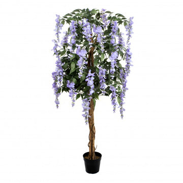 Lilac Wisteria Tree in Black Pot 5ft/150cm - A1152