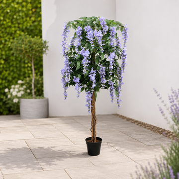 Lilac Wisteria Tree in Black Pot 5ft/150cm - A1152