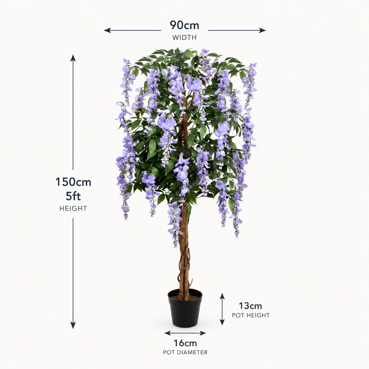 Lilac Wisteria Tree in Black Pot 5ft/150cm - A1152