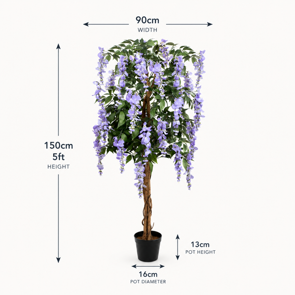 Lilac Wisteria Tree in Black Pot 5ft/150cm - A1152