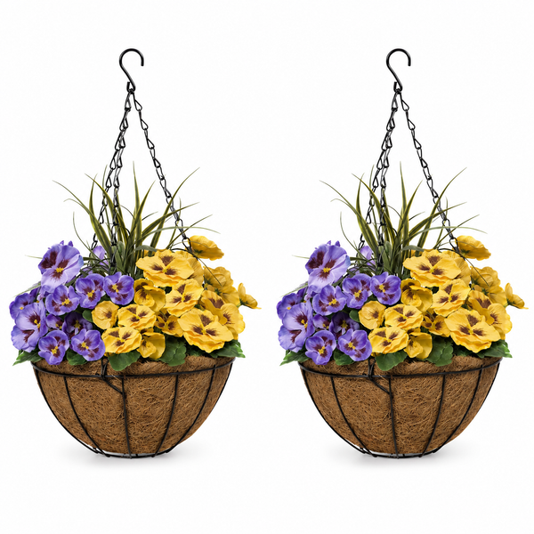 Purple & Yellow Pansy Round Coir Hanging Basket (Set of 2) 25cm - A1156