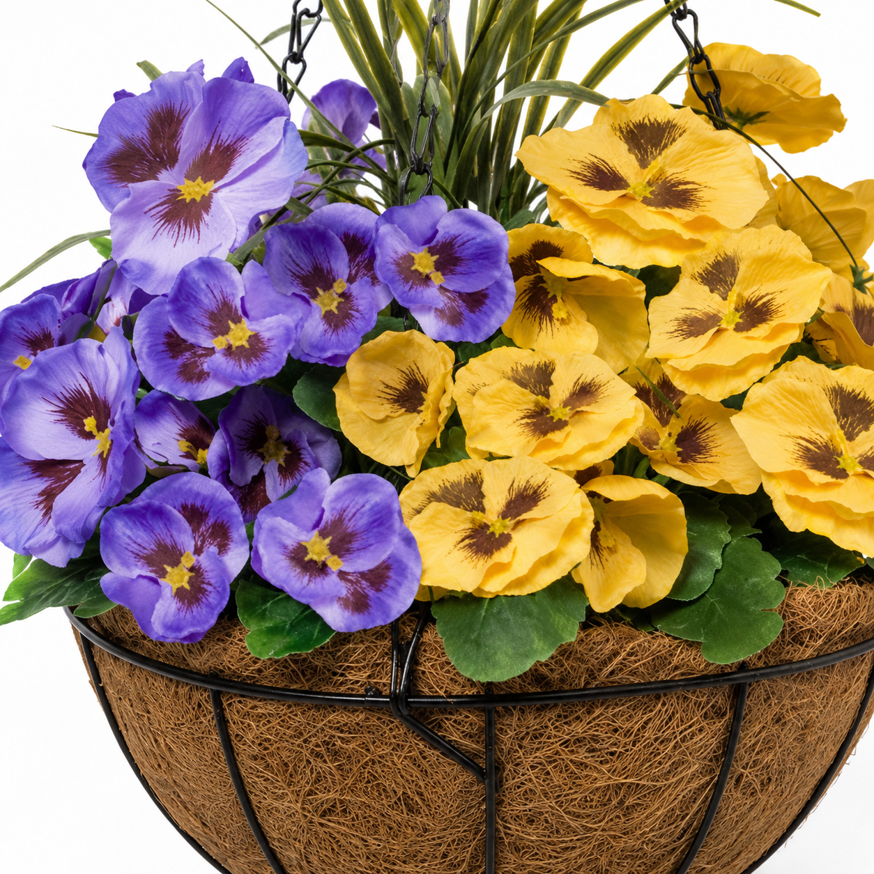 Purple & Yellow Pansy Round Coir Hanging Basket (Set of 2) 25cm - A1156