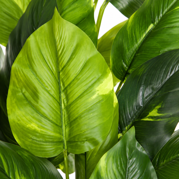 Real Touch Pothos Plant in Black Pot 75cm/2ft - A1164