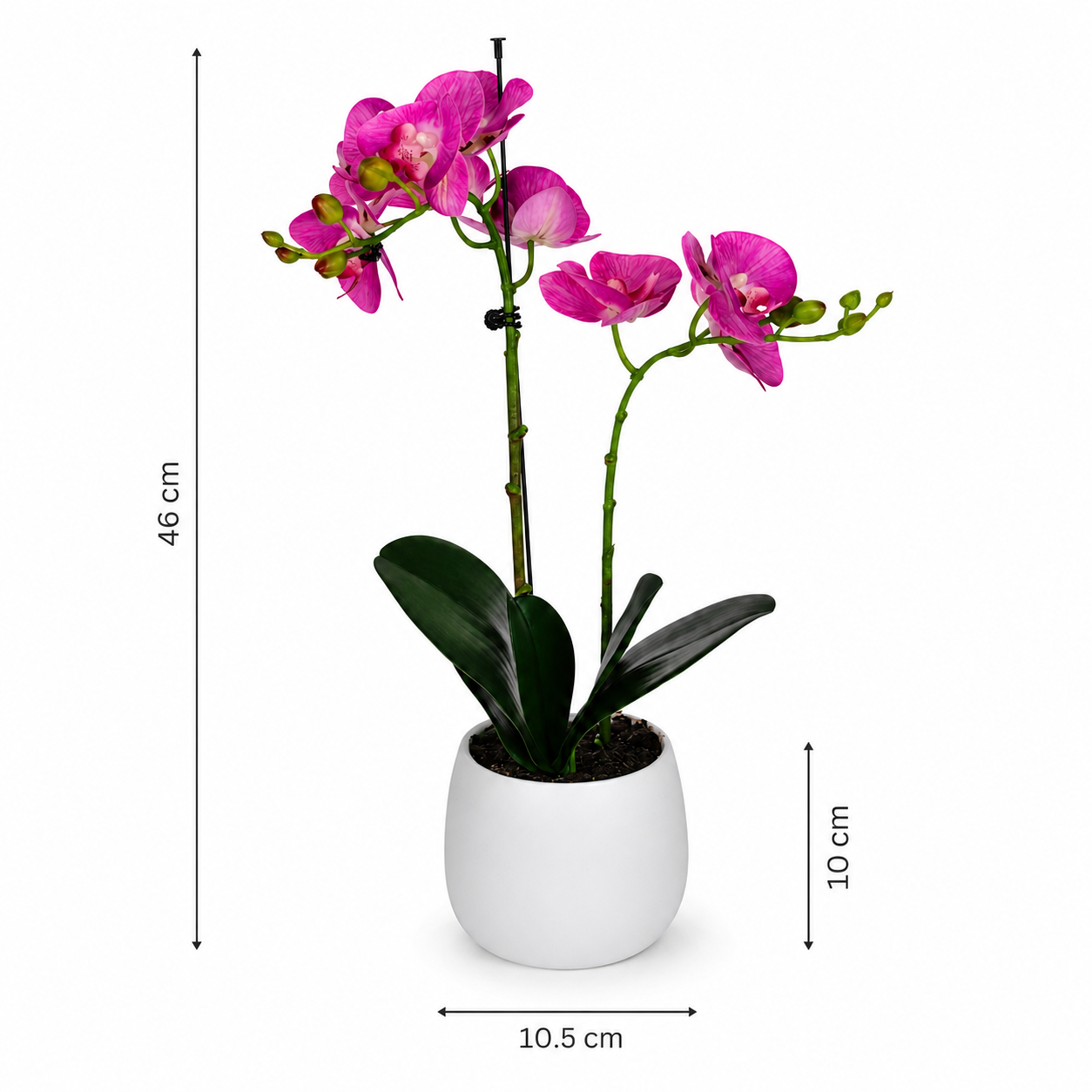 Elegant Real Touch Double Stem Pink Potted Orchid in Round White Ceramic Pot (46cm) - A1179