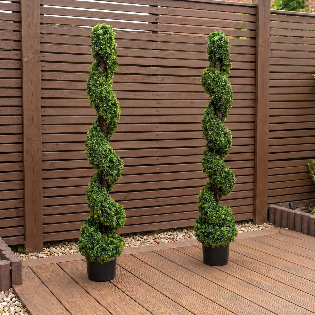 Spiral Boxwood Topiary Tree (Set of 2) 150cm/5ft - A1180