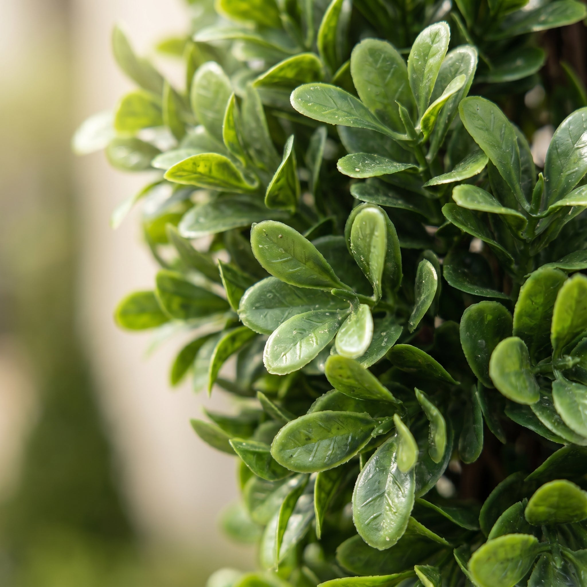 Artificial Spiral Boxwood Topiary Tree 150cm/5ft (Set of 2) - A1180