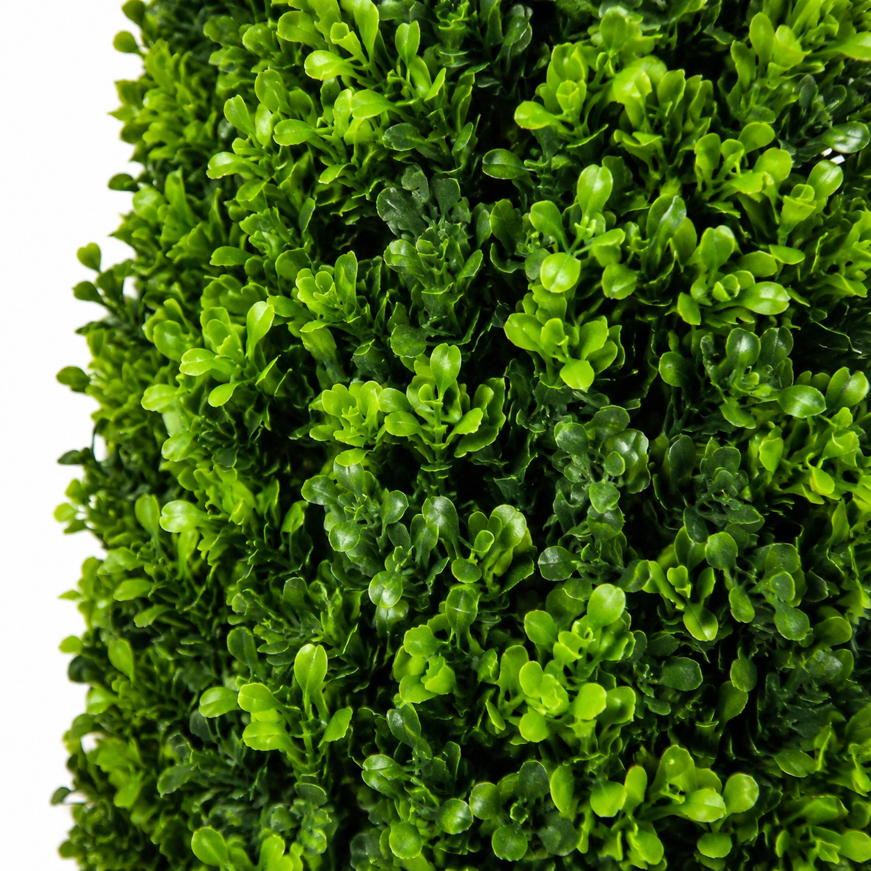 Premium Quality Boxwood Topiary Metal Framed Pyramid Trees in Square Black Planter (Set of 2) 120cm/4ft  -A1181