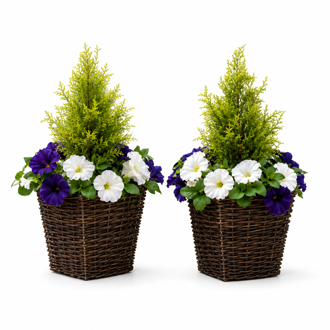 Dark Purple & White Petunia Rattan Patio Planters 60cm/24in (Set of 2) - A1191