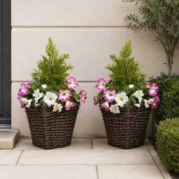 Pink & White Petunia Rattan Patio Planters With Cedar Topiary (Set of 2) - A1192