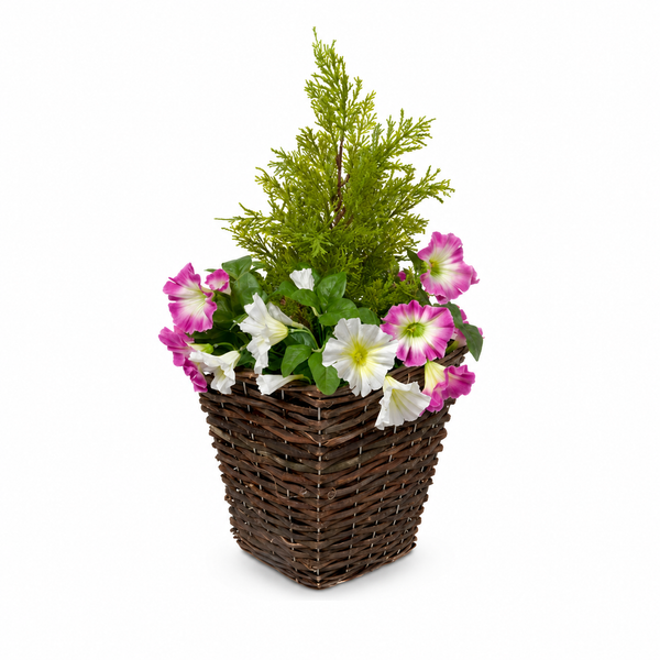Pink & White Petunia Rattan Patio Planters With Cedar Topiary (Set of 2) - A1192