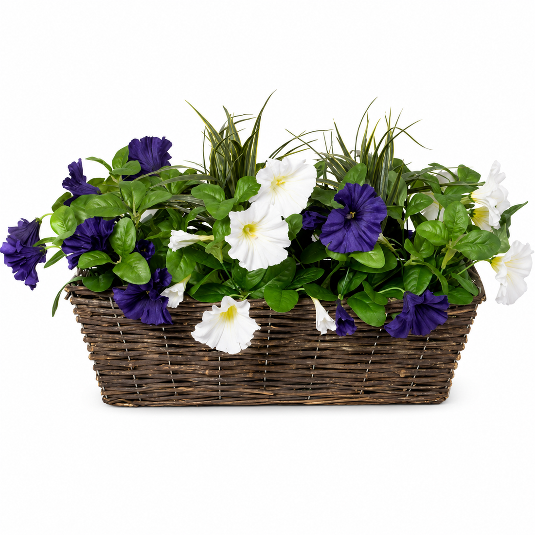 Dark Purple & White Petunia Rattan Window Box 58cm/23in - A1195