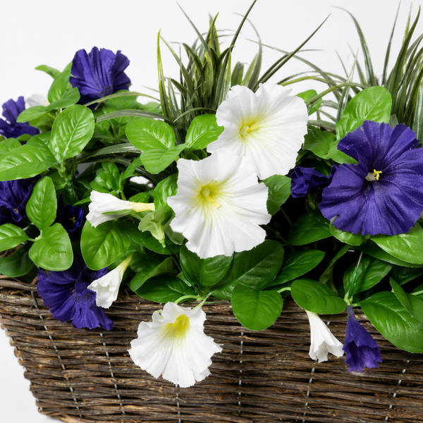 Dark Purple & White Petunia Rattan Window Box 58cm/23in - A1195