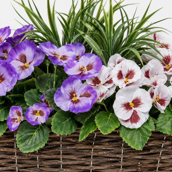 Purple & White Pansy Rattan Window Box 58cm/23in - A1199