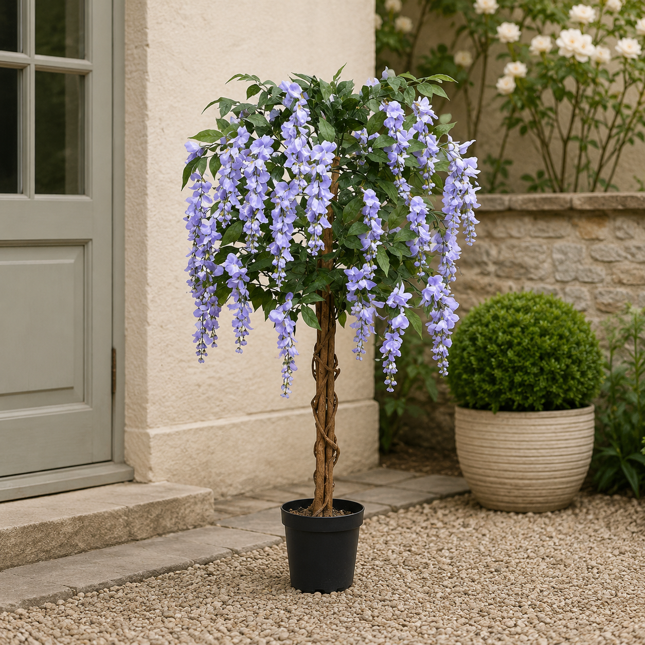 Lilac Wisteria Tree With Twisted Wood Trunk 4ft/130cm - A1211