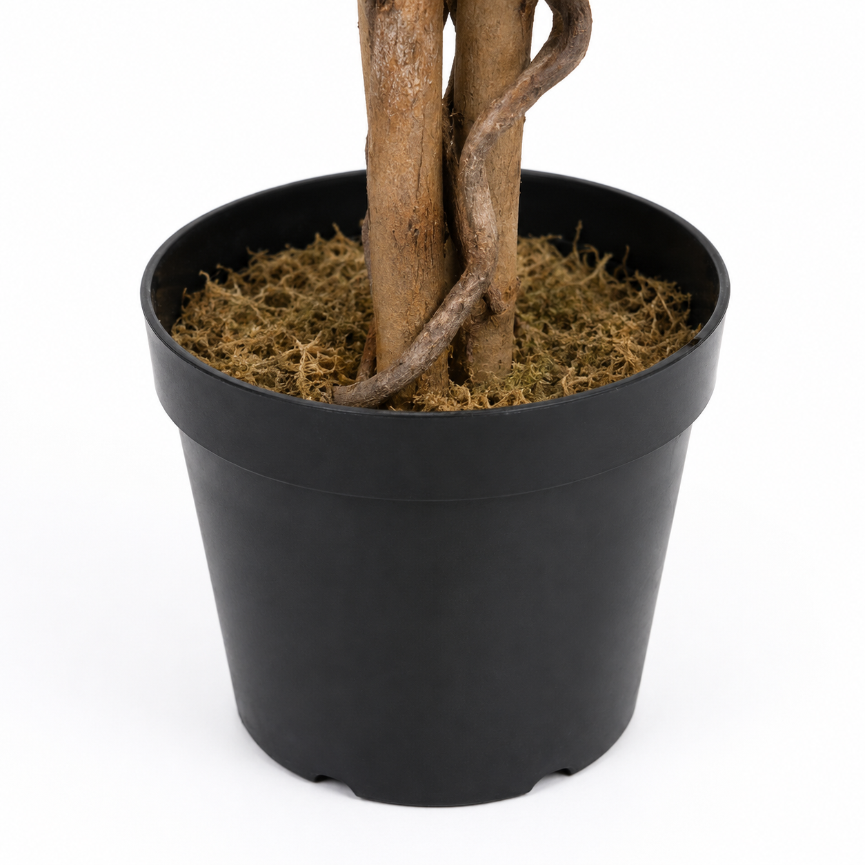 Lilac Wisteria Tree With Twisted Wood Trunk 4ft/130cm - A1211