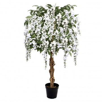 White Wisteria Tree With Twisted Wood Trunk 4ft/130cm - A1212
