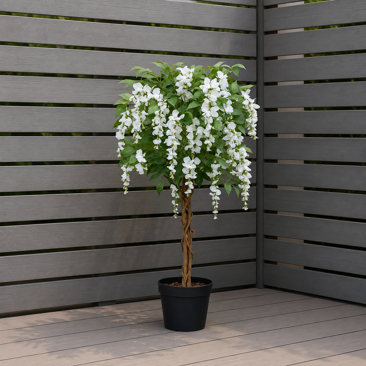 White Wisteria Tree With Twisted Wood Trunk 4ft/130cm - A1212