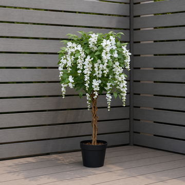White Wisteria Tree With Twisted Wood Trunk 4ft/130cm - A1212