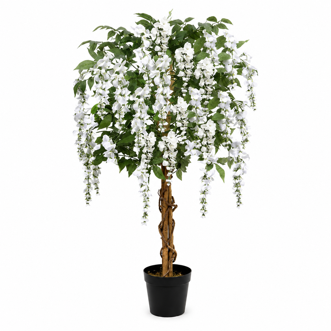 White Wisteria Tree With Twisted Wood Trunk 4ft/130cm - A1212