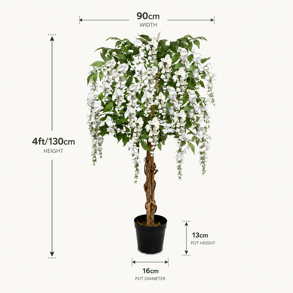 White Wisteria Tree With Twisted Wood Trunk 4ft/130cm - A1212